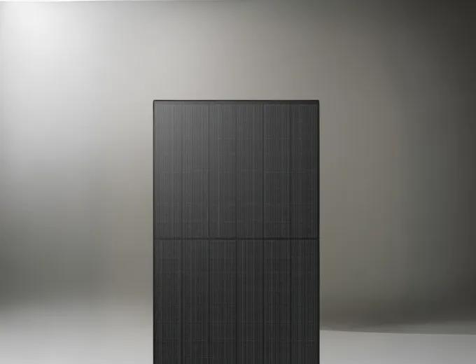 Close-up architectural view of a premium black Longi monocrystalline solar panel module.